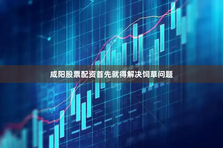 咸阳股票配资首先就得解决饲草问题